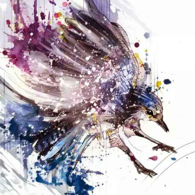 英培🦄 🦄 🦄 头像