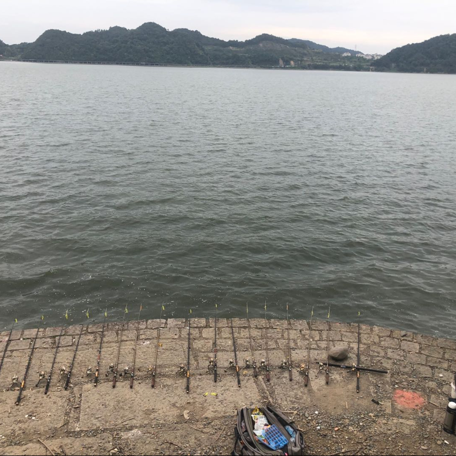 说的跟真的一样 头像