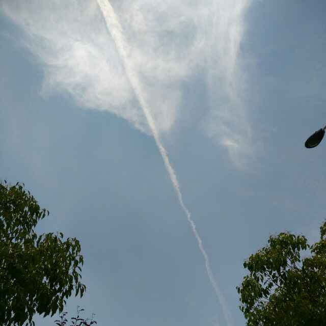 每天都有新的太阳 头像