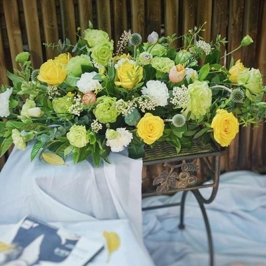 沈晓露🐳 头像