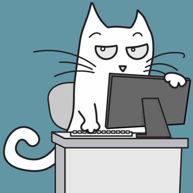 杨大猫在翻山越岭的另一边 头像