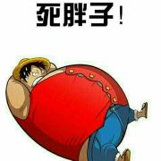 想做一只狐狸 头像