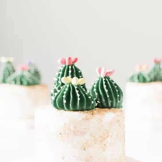 吴蕾（vicky） 头像