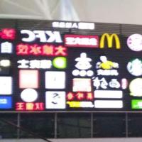 君网工作室 头像