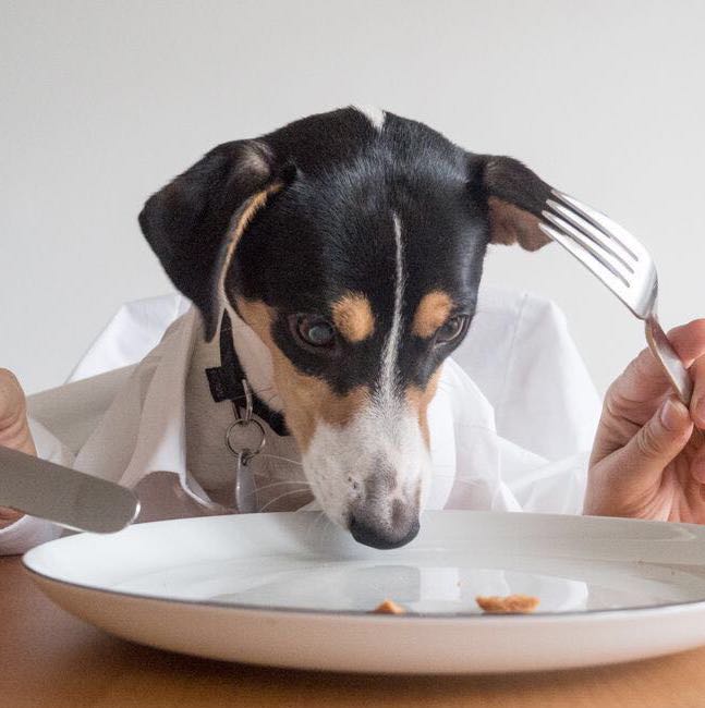 alanlimlimlim 头像