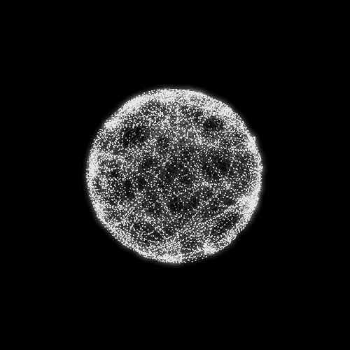 啄木鸟｜田 旭²⁰¹⁷ 头像