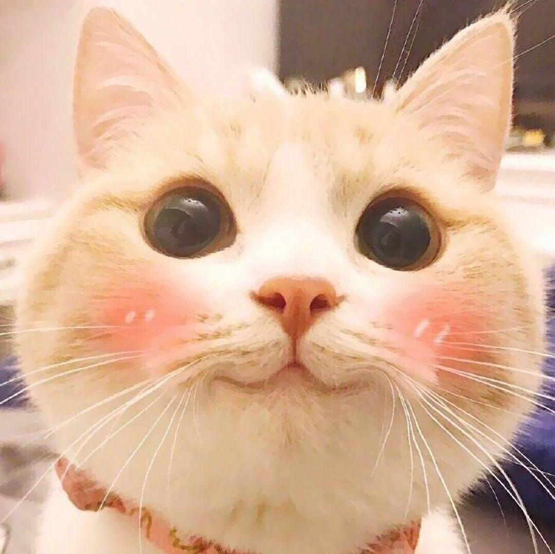 😘㍿℡¹⁷⁷⁰⁶⁶⁵⁴³⁰² 头像