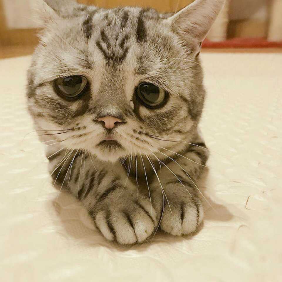 周新咪可要好好活着 头像