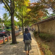 易燃易发胖 头像