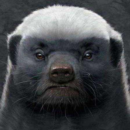 小小的太阳🌞 头像