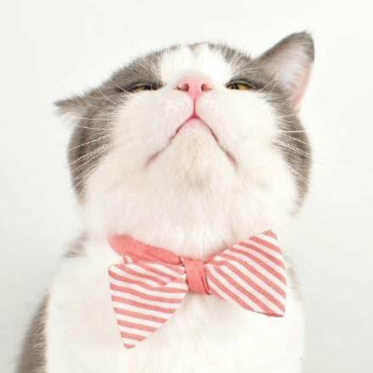 o克鲁克山o彡 头像