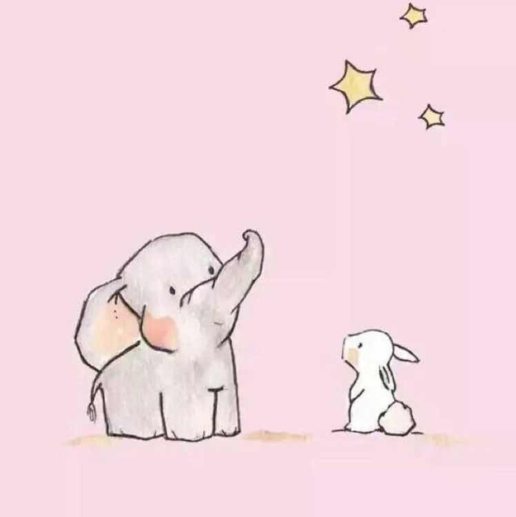 月光宝盒里的兔兔 头像