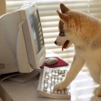 听说这个名字不合法 头像