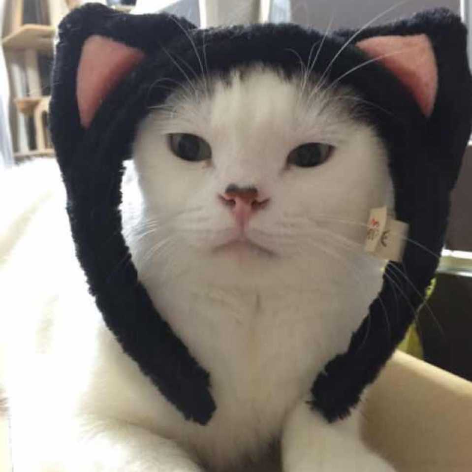 小王同志不嗑瓜子 头像