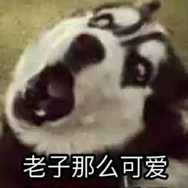 北北泽 头像