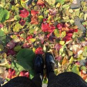 cc是小太阳 头像