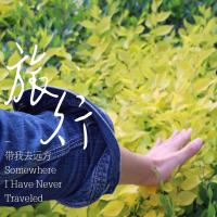 企业虚拟化咨询与迁移服务 头像