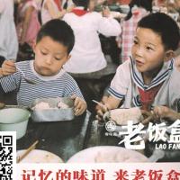 风中流浪的猫 头像