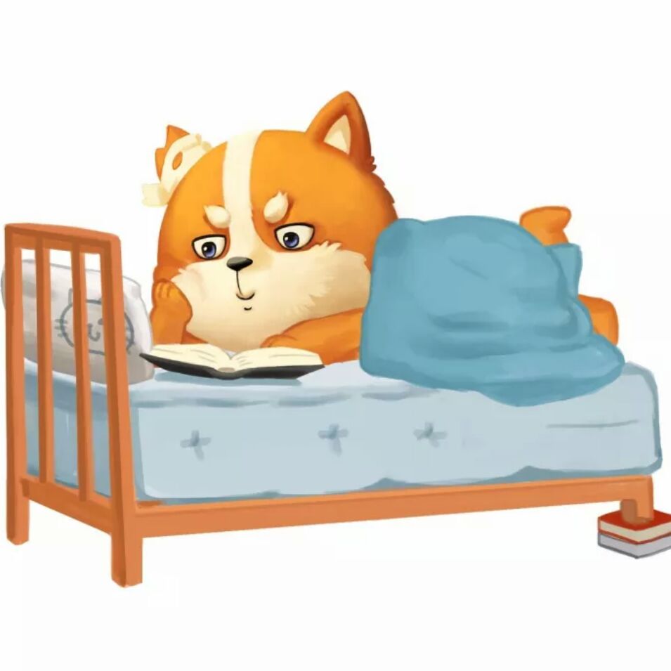 圆圆不是圈 头像