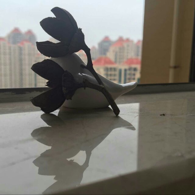 西瓜和山楂3 头像