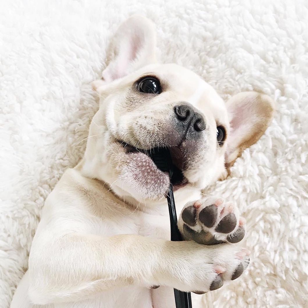 你是一种感觉 头像