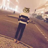 汤姆不要太焦躁 头像