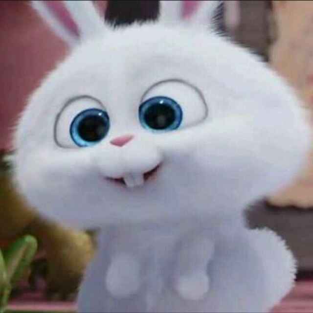 树上的糖包子 头像