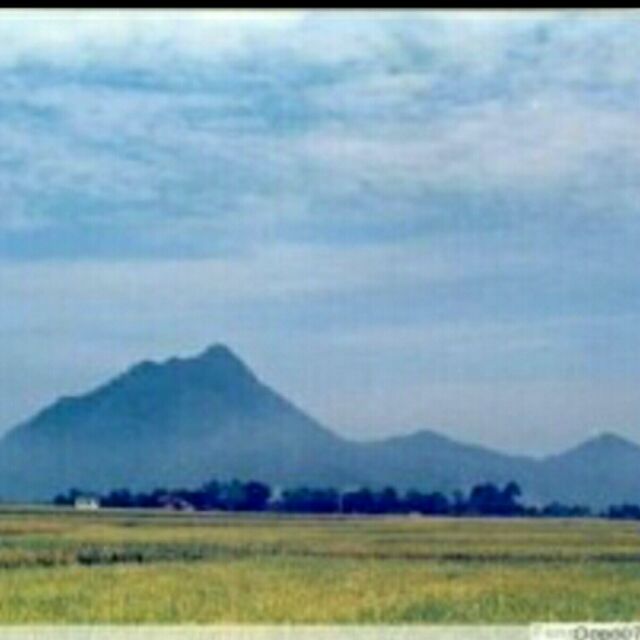 Aiming爱明哥哥 头像