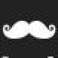 凶猛的树袋熊 头像