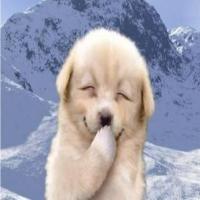 有点意思只为你 头像