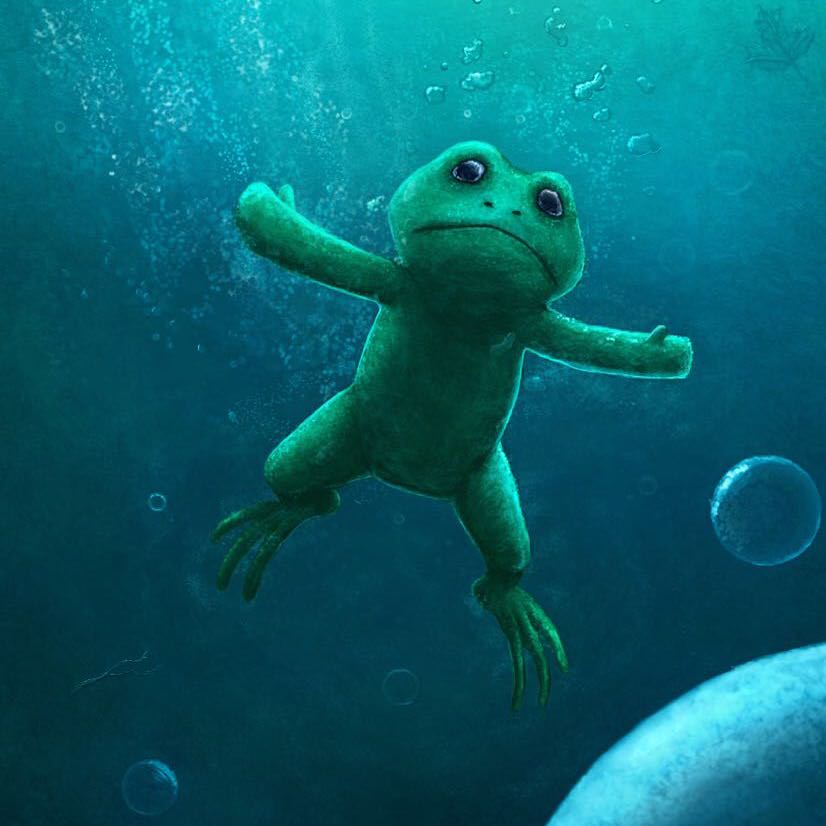 菜🐤互啄 头像