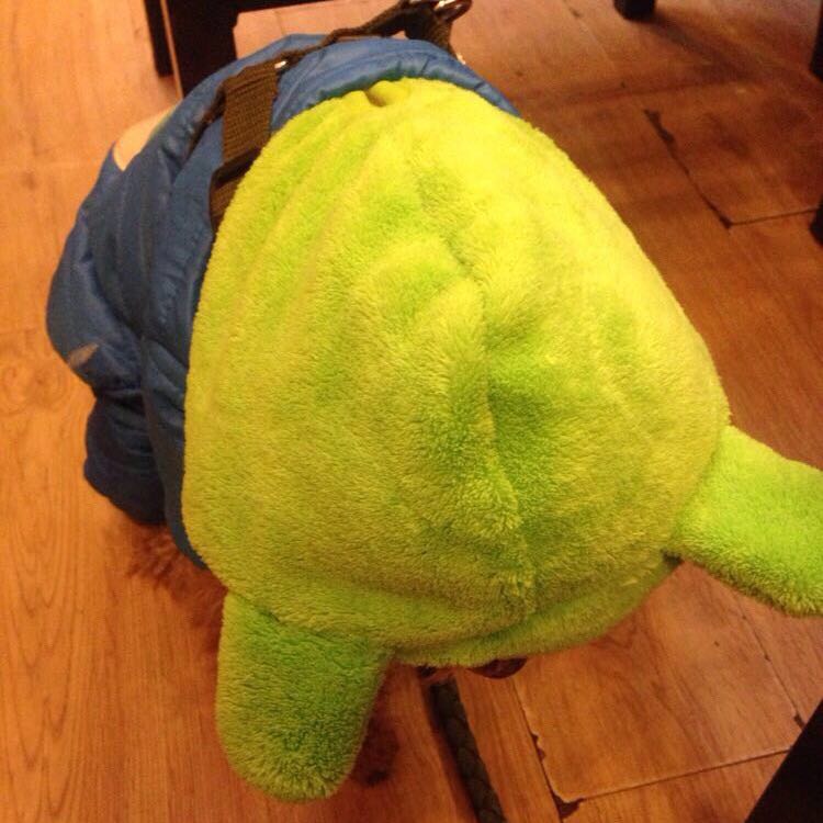 好好学习早睡早起😊 头像