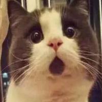 songchun110xi 头像