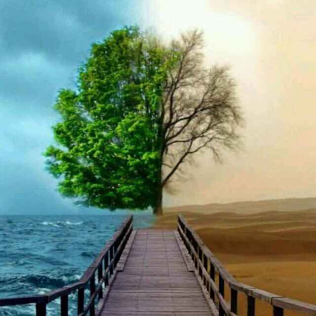 「谢、谢」 头像