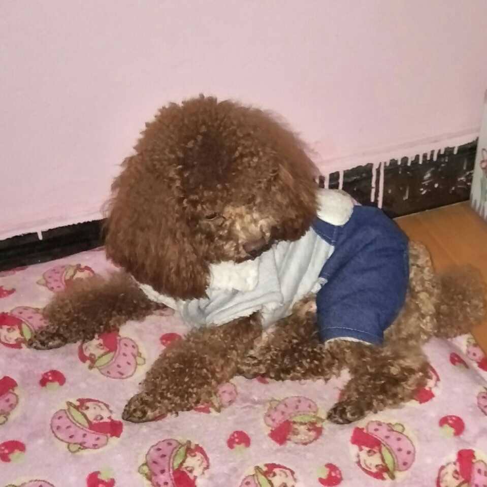 缔造时代奇迹 头像