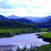 wangliangduan 头像