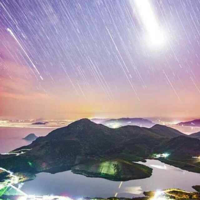 像鱼的花朵 头像