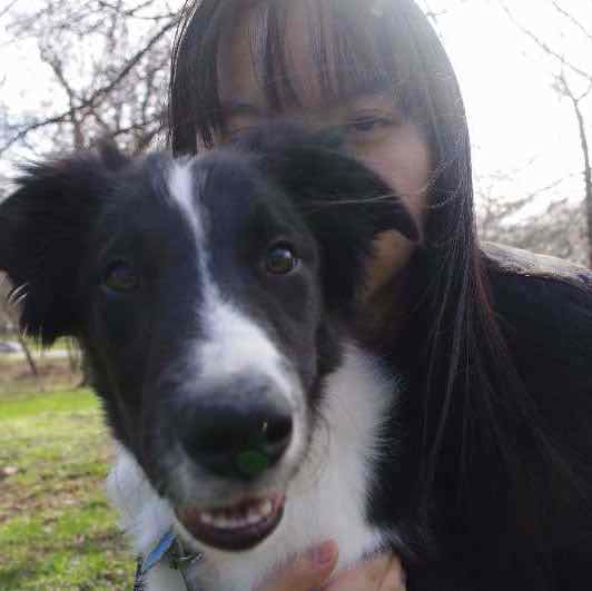 小苦瓜_Nemo 头像