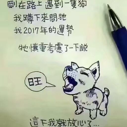 豆子与搬砖 头像