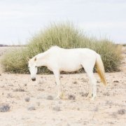 许晓鸿别再幼稚了 头像