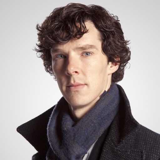 健壮的海豹 头像