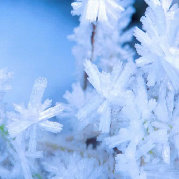 影雪纷飞 头像