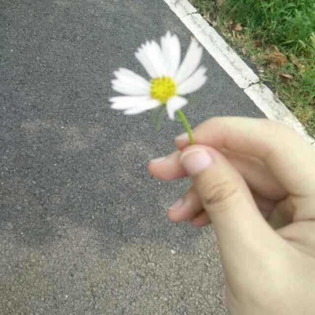 酱汁 头像