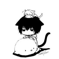 SilenceMrWang 头像