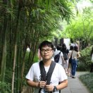 过去已落幕 头像