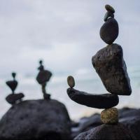 雪山上的蒲公英 头像