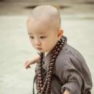 差不多先生 头像