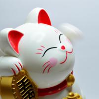 小肉 Sheryl 头像