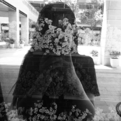 Jesmine Zhang 头像