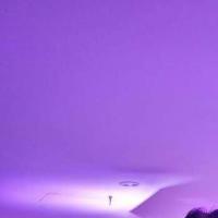 我不是阿岳 头像